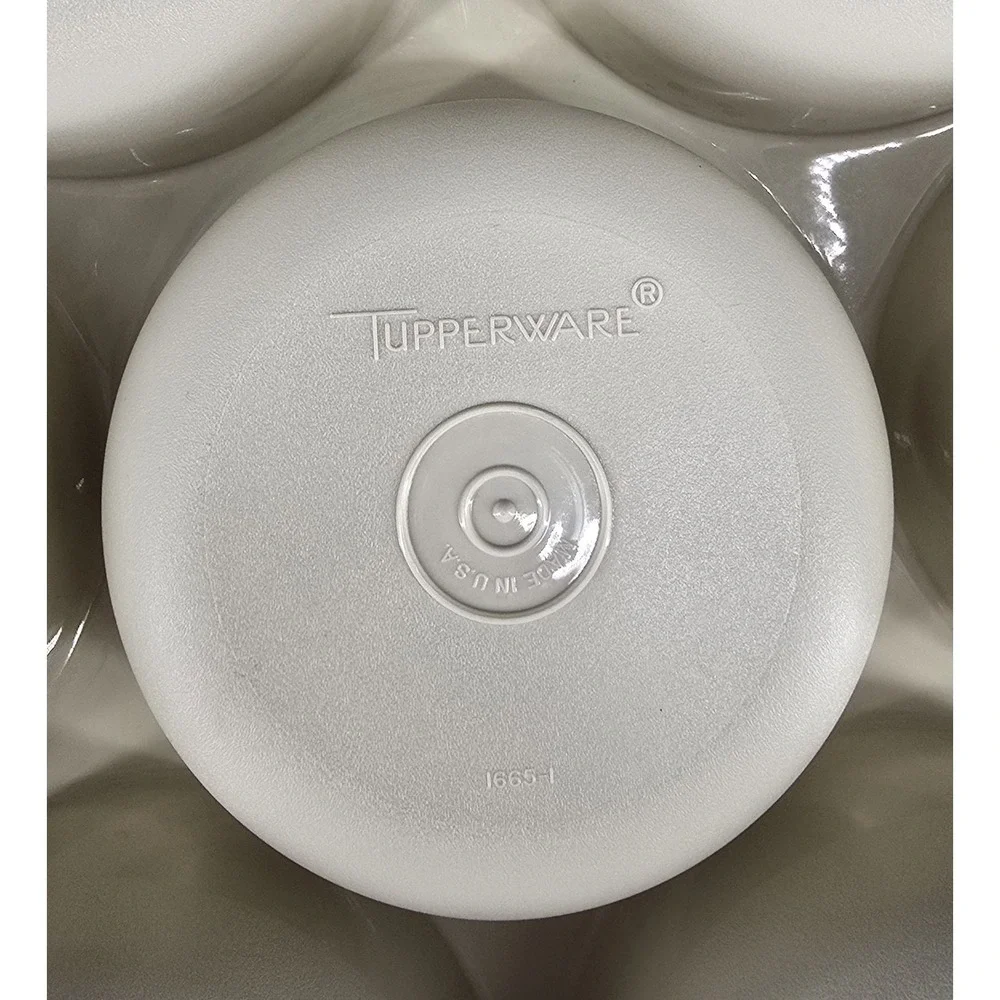 Vtg Tupperware Serving Center Vegetable Fruit Divided Tray 1665 & Lid 1666 Beige